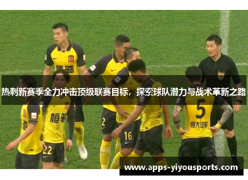 热刺新赛季全力冲击顶级联赛目标，探索球队潜力与战术革新之路