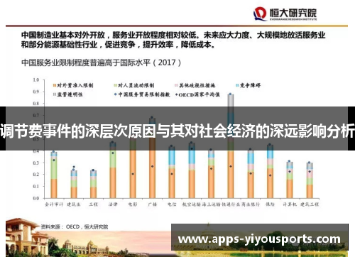调节费事件的深层次原因与其对社会经济的深远影响分析