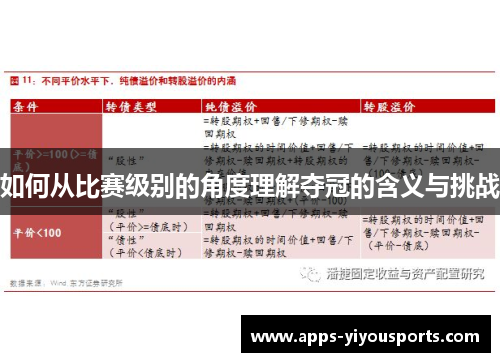 如何从比赛级别的角度理解夺冠的含义与挑战